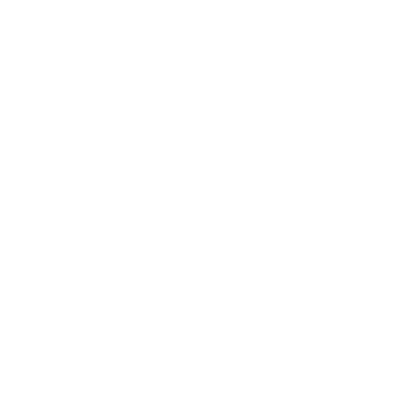 Logo Preview
